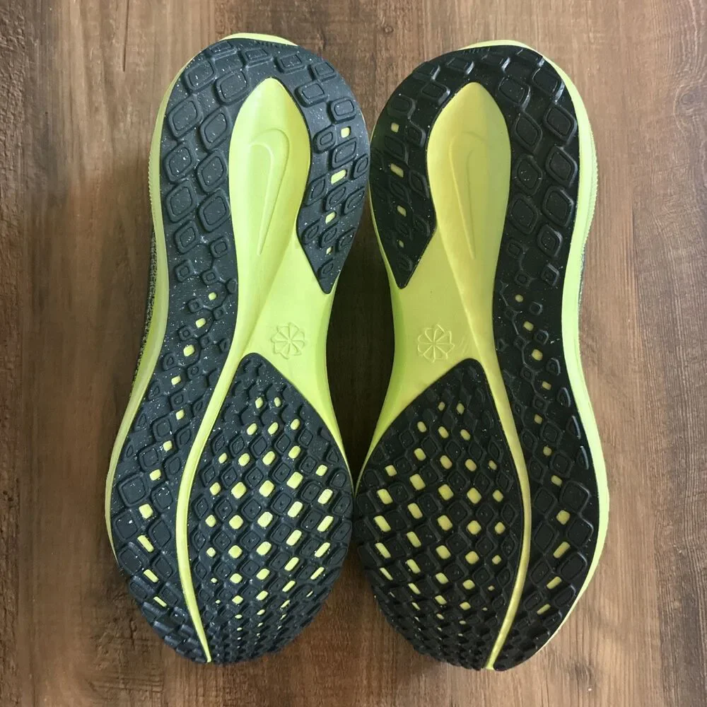 Nike pegasus 41